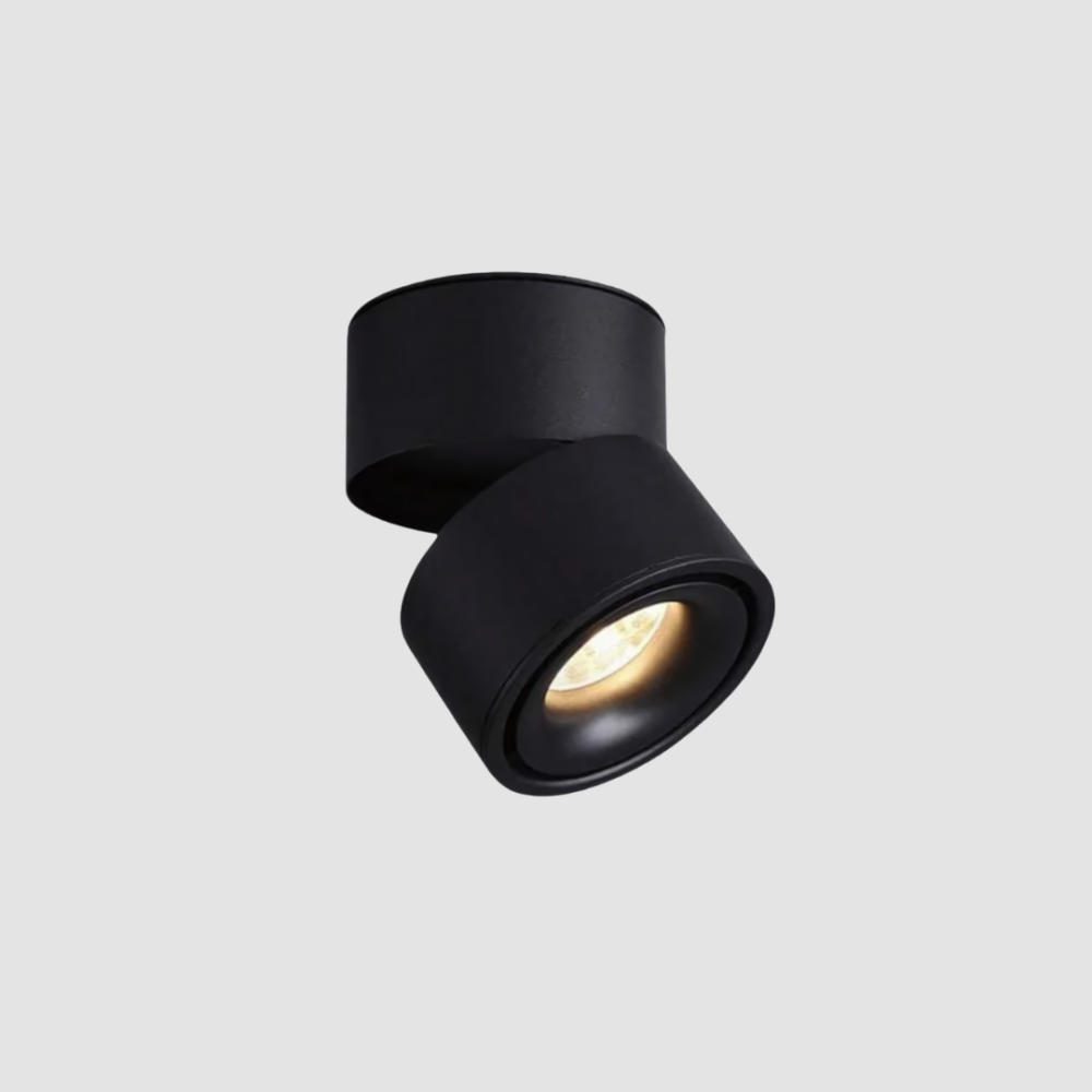 Tiltable Surface Light